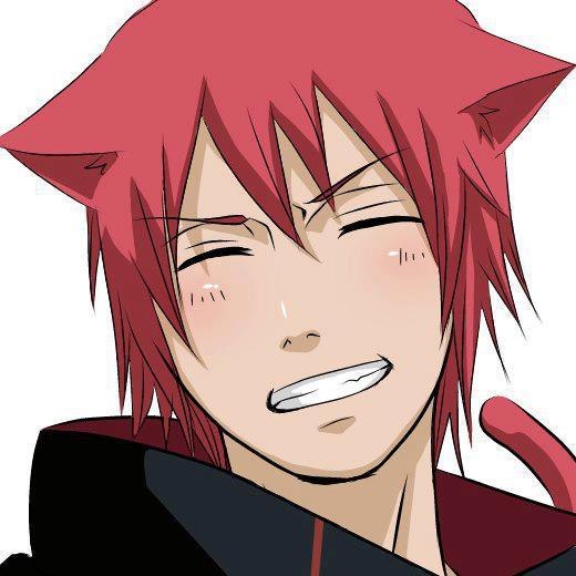 Sasori котЭ :3