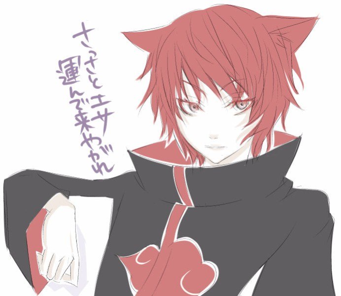 Sasori