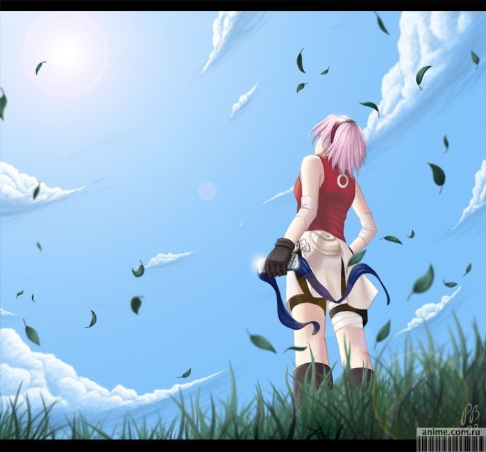 SAKURA