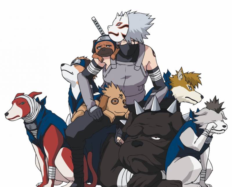 kakashi