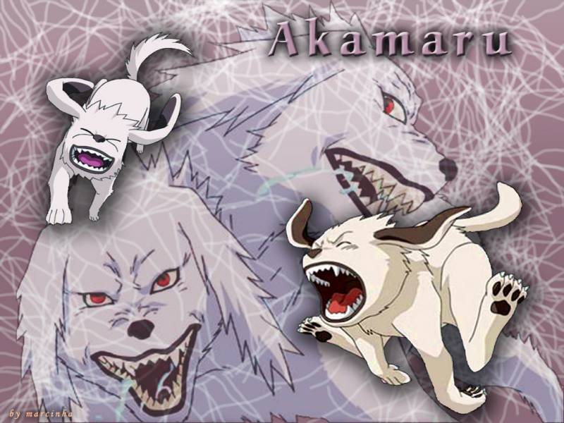 акамару